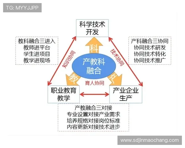 足球明星的人生规划与职业生涯发展之路探讨与思考