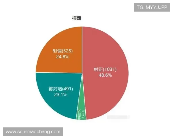 北京排球队阵地战体系解析与战术创新探讨